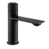 VALVEX – DECOR Black stojaca umývadlová batéria 2420650