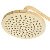 Rea HUGO GOLD BRUSH sprchový kút 90 x 90 x 200,5 cm sklo číre K8411-K6613