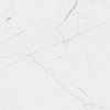Cerrad Lamania MARMO THASSOS White gresová rektifikovaná dlažba / obklad lesklá 79,7 x 79,7 cm