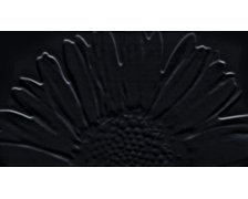 Tubadzin dekor COLOUR Sunflower Black 593x327 mm